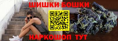 МДПВ Пенза