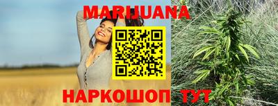 МДПВ Пенза