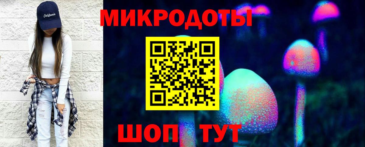 Галлюциногенные грибы Psilocybine cubensis  где можно купить   Родники  Вход с VPN 