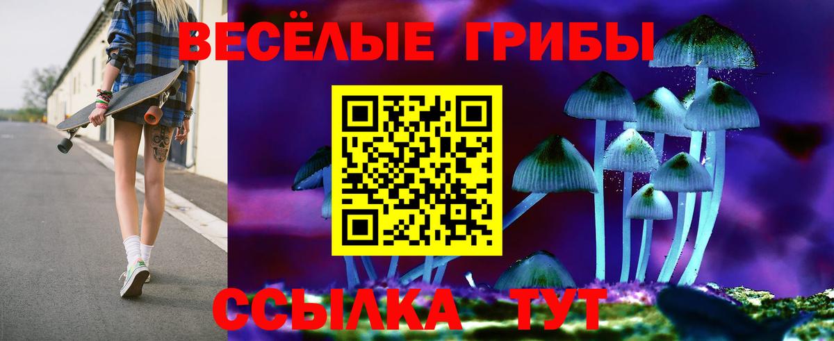 Галлюциногенные грибы Psilocybe Родники